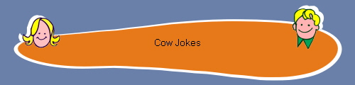 Cow Jokes