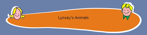 Lynsey's Animals