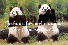 2 pandas