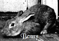 Benny Benny