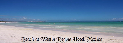 Our hotel beach