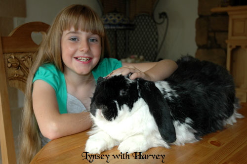 lynsey_harvey